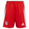 9381 PACK BAYERN MUNICH DOMICILE MANE. ENSEMBLE ADULTE MAILLOT ET SHORT 2022 2023